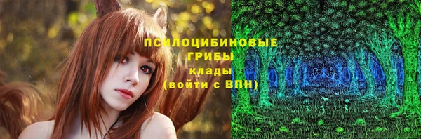 герыч Протвино
