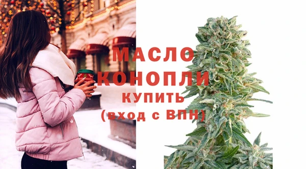 стаф Вязьма