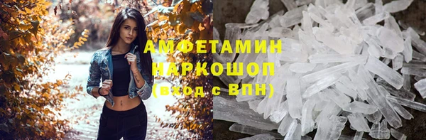 ПСИЛОЦИБИНОВЫЕ ГРИБЫ Вяземский